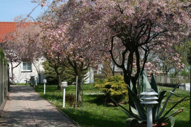 Familienhotel Zur Linde Panschwitz-Kuckau Екстер'єр фото